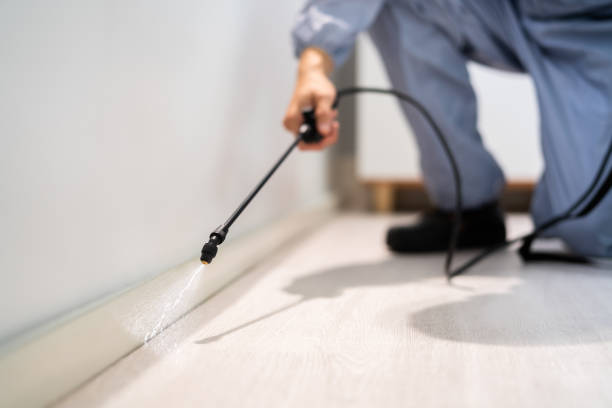 Certified termite inspector examining foundation in Bristol